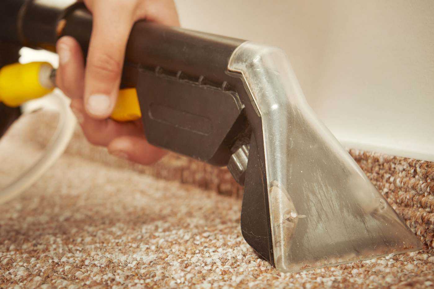 Person Deep Cleaning Carpet