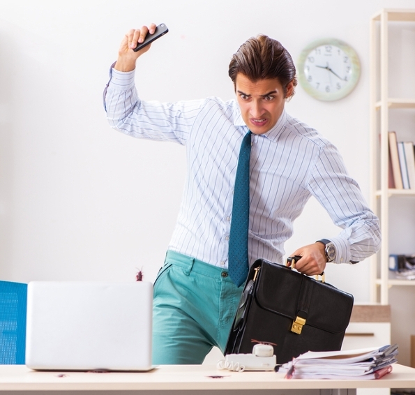 Pest Infestation in Office Pest Infestation in Office